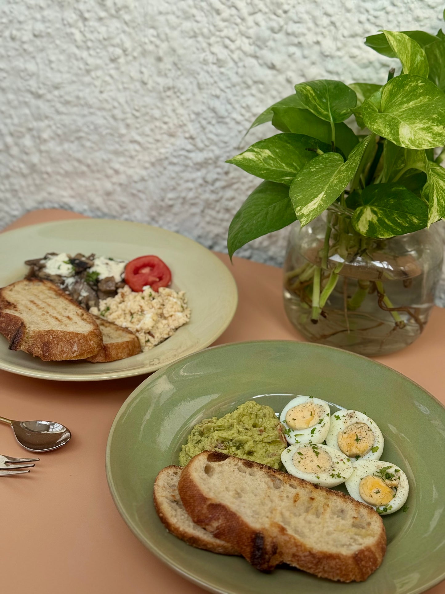 Moringa Dinner/ Pasta Plates
