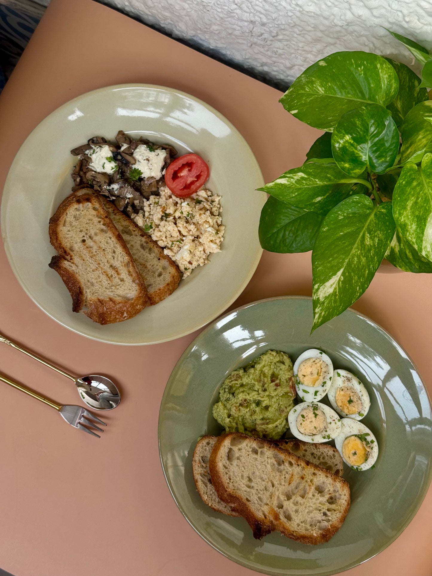 Pistachio Dinner/Pasta Plates