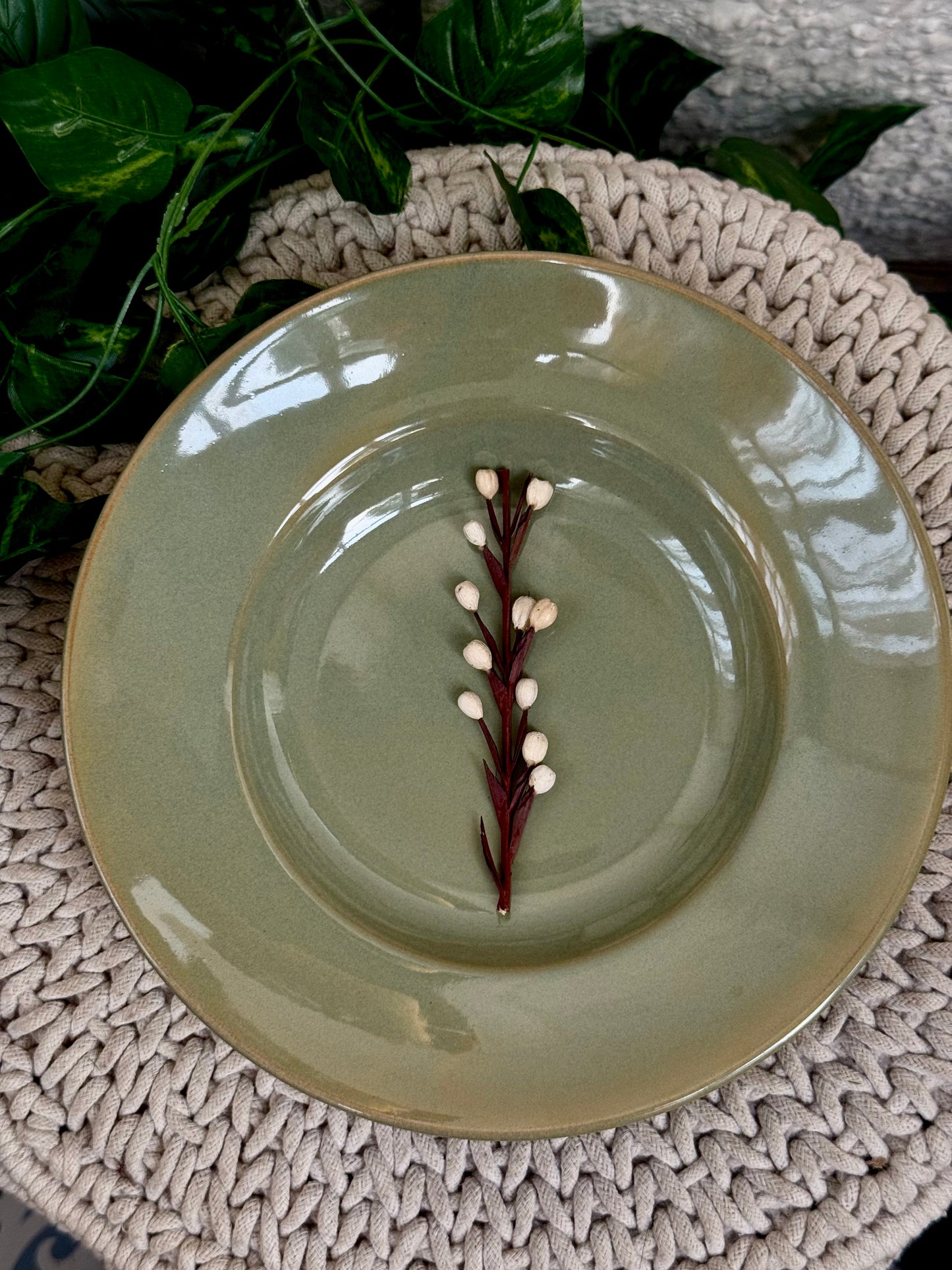 Moringa Dinner/ Pasta Plates