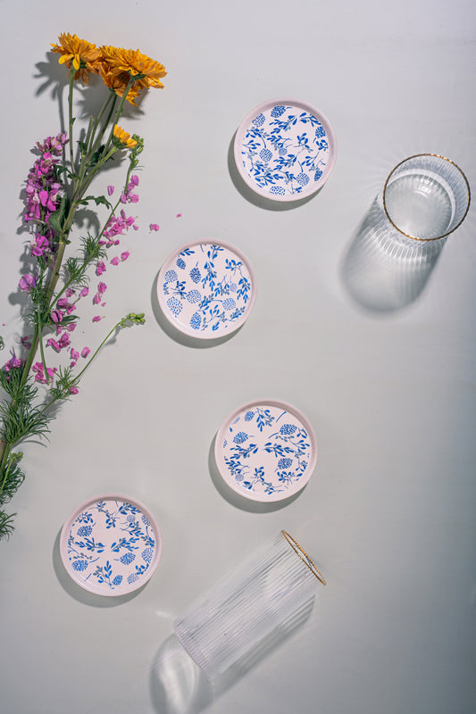 Nilaya Coasters